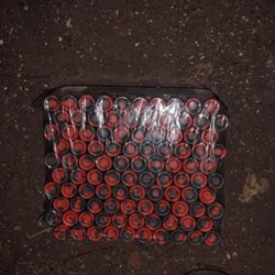 Vacationer/ Blood Collection Tubes 100 Count