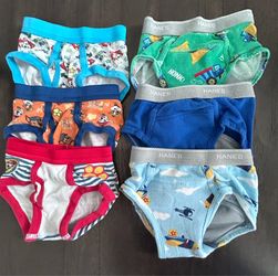 Toddler Boy size 2T-3T Underwear Bundle – Hanes & Paw Patrol