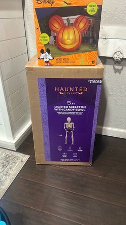 Halloween 5ft Lighted Skeleton