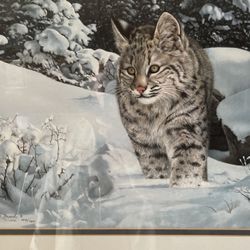 print Animal