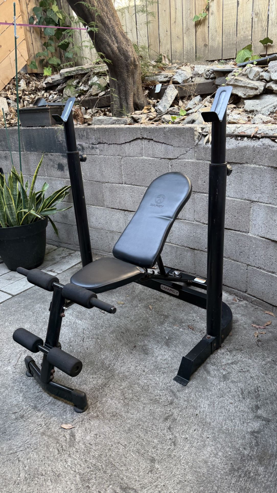 Squat Stand & Weight Bench bar And Free Weights