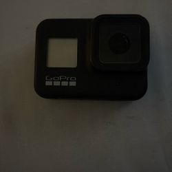 Go Pro 8
