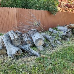 Firewood Seasoned Cottonwood Logs 4 Ft Long