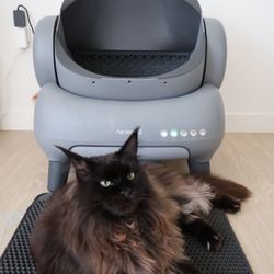 Automatic Cat Litter Box