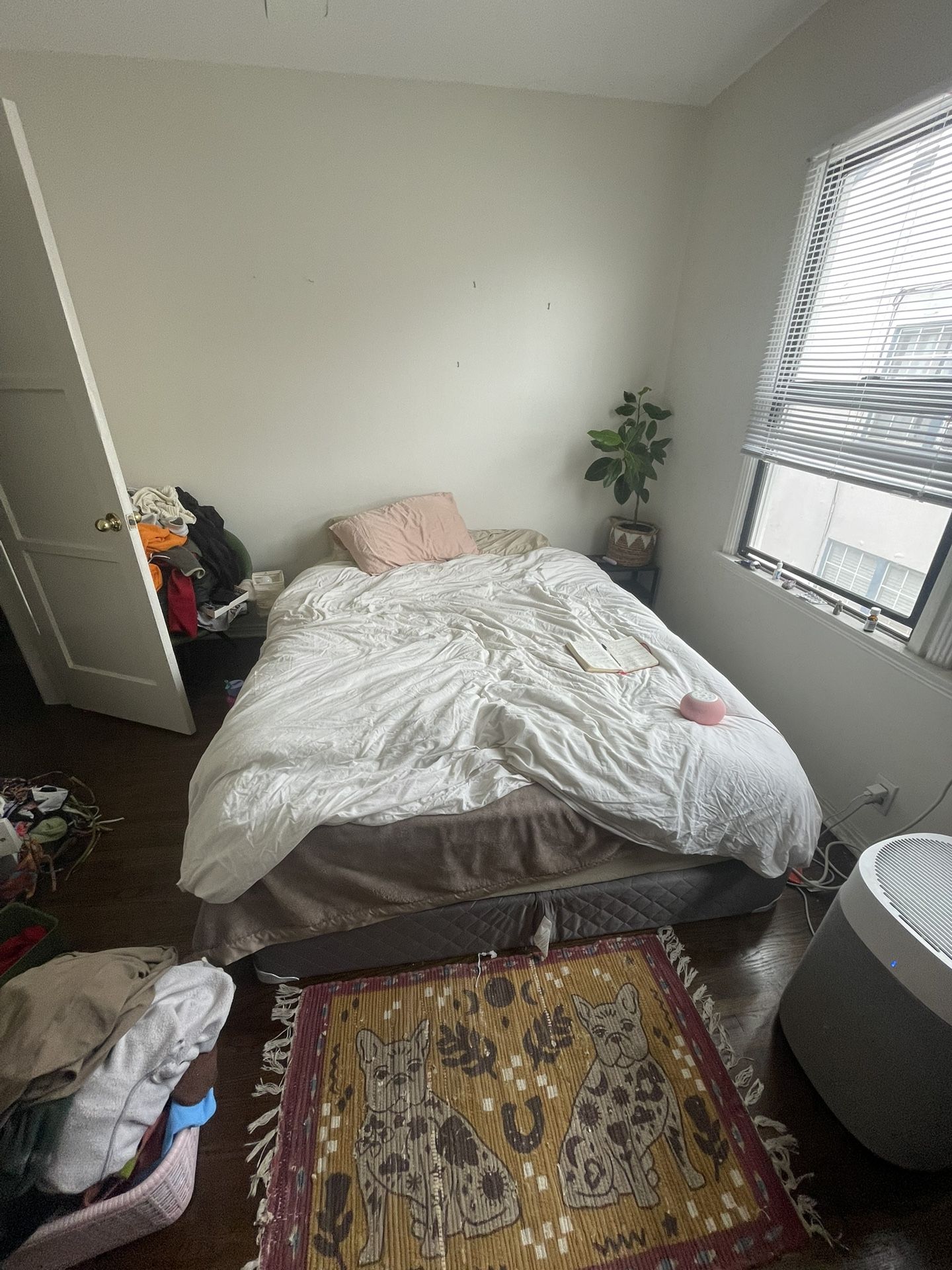 queen size mattress and box spring