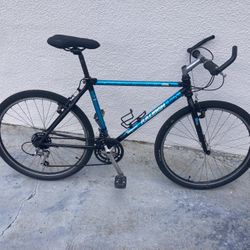 Raleigh Technium Bike