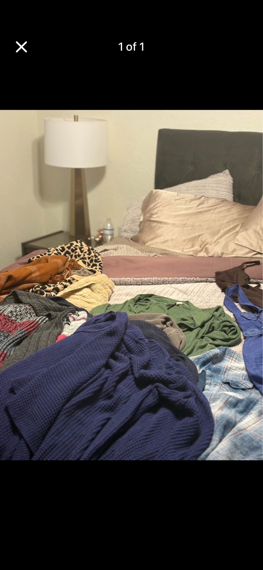 Dresses, Shorts, Rompers, Sweaters, Tanks, Shirts, High Heels, Wedges, Knee High Boots 61/2-7 Clothes M-l