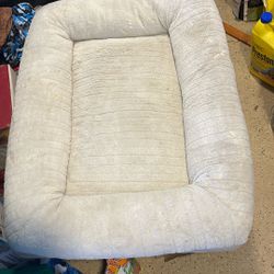 doggie bed 