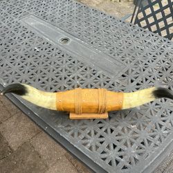 Texas Bull Horn