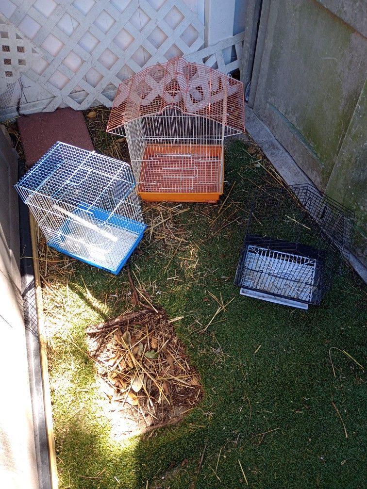 Three Birds Cages