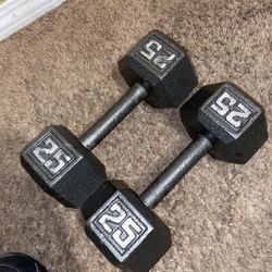 25lbs Dumbbells