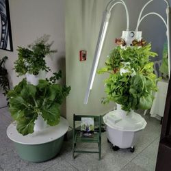 Hydroponic System