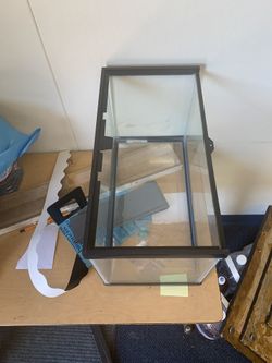 Small Glass Cage Snake/Repitles