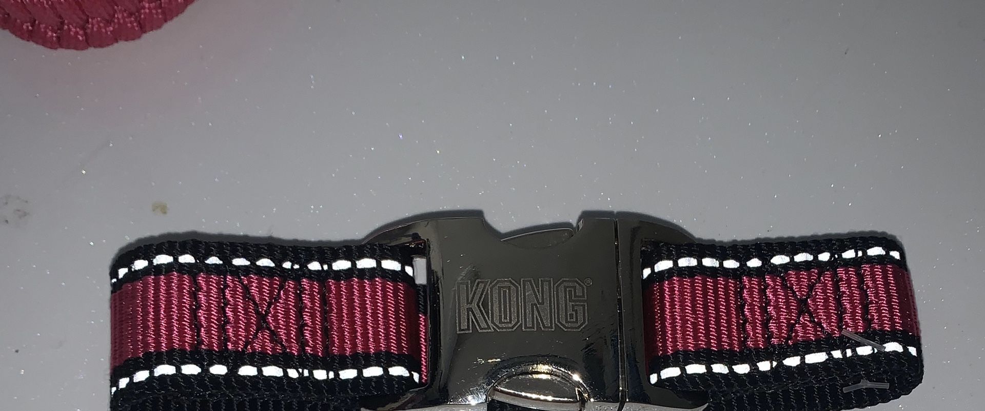 Kong puppy/small dog collar