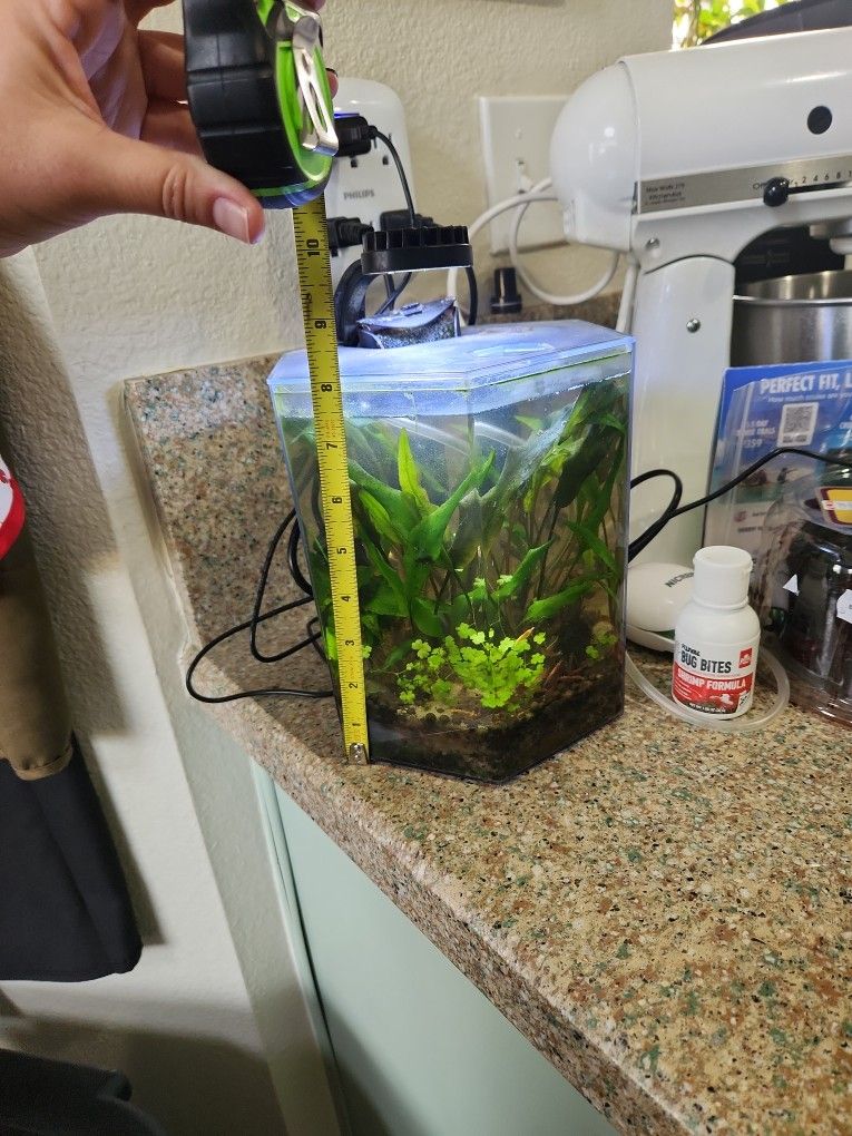 Aquarium