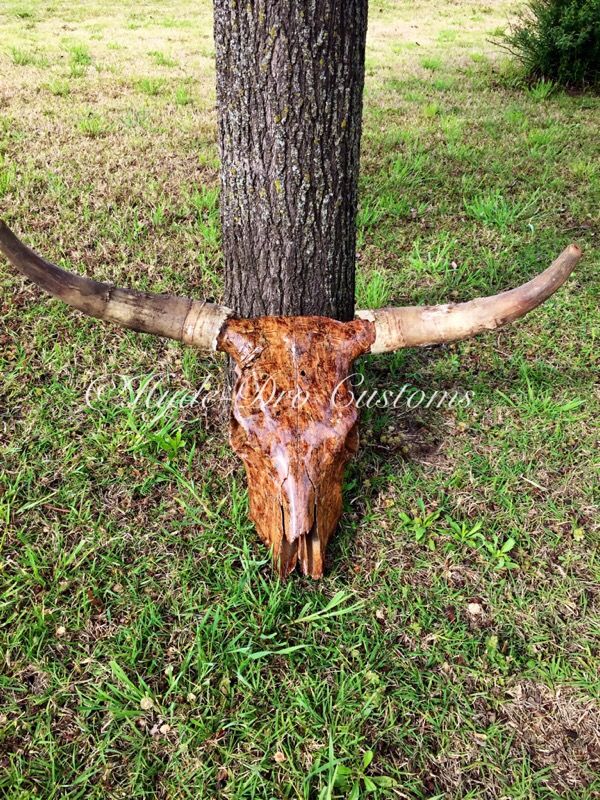 Hydro dipped bull skull for Sale in Norman, OK OfferUp