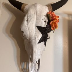 Cow Skull 