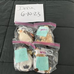 Beanie Babies- Educational/ Graduation Collection