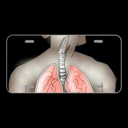 License Plate Novelty Car Front Anatomy Lungs Breathing Human Health