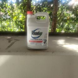 Roundup 1 Gallon Concentrate