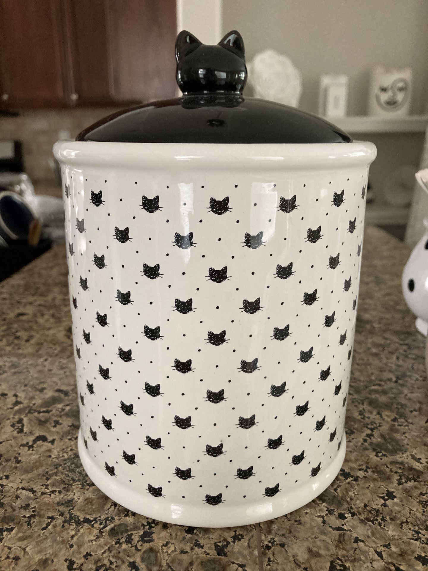 Super Cute Cat Pattern Ceramic Jar
