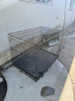 large dog crate