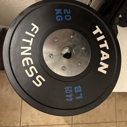 2-Titan 44lb Bumper Plates