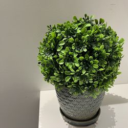 Faux Boxwood Potted Plant
