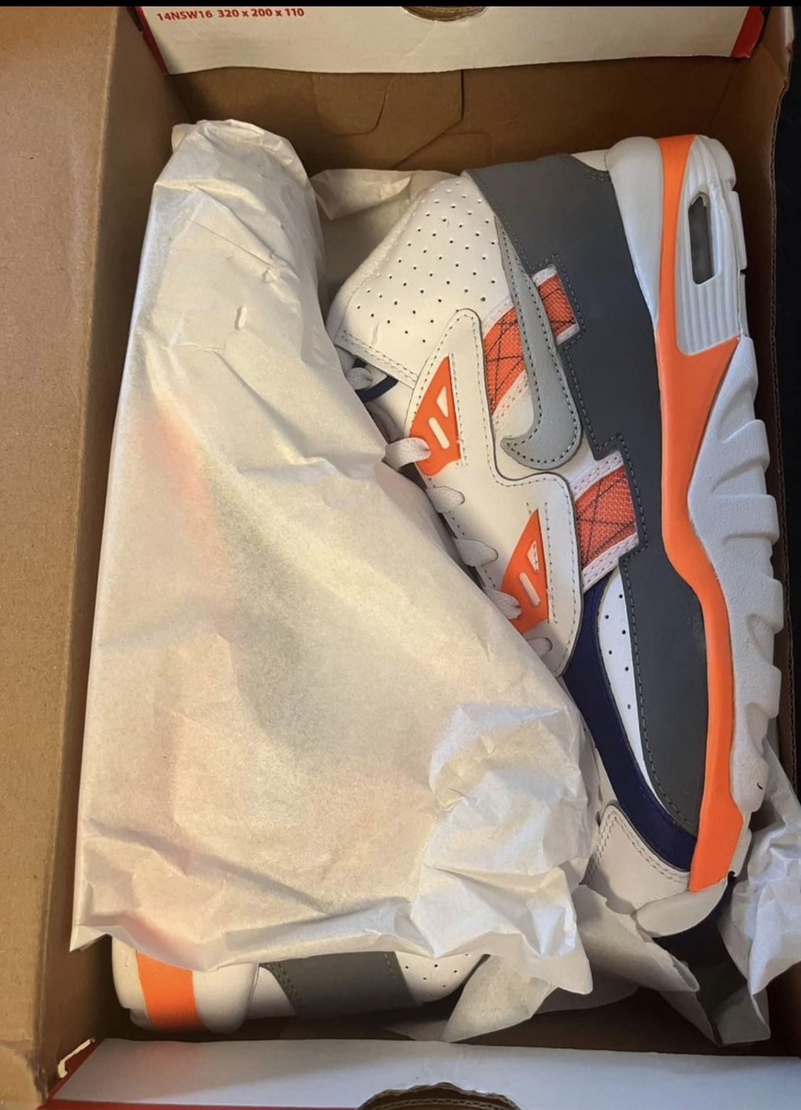 Orange Cream Bo- Jackson 