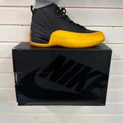 Jordan 12 Size 10.5