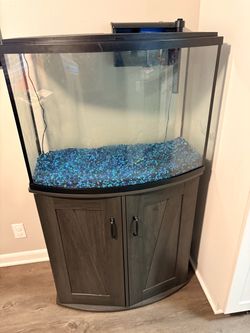 36 Gallon tank (top fin)