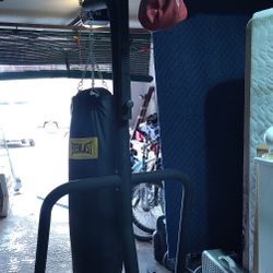 100lbs Everlast Punching And Speed Bag