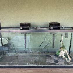 Fish tank 