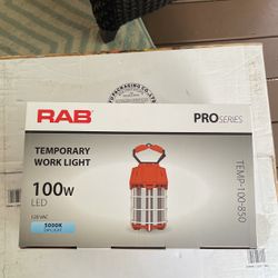 Temporary work light 