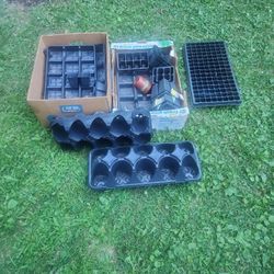 free starters