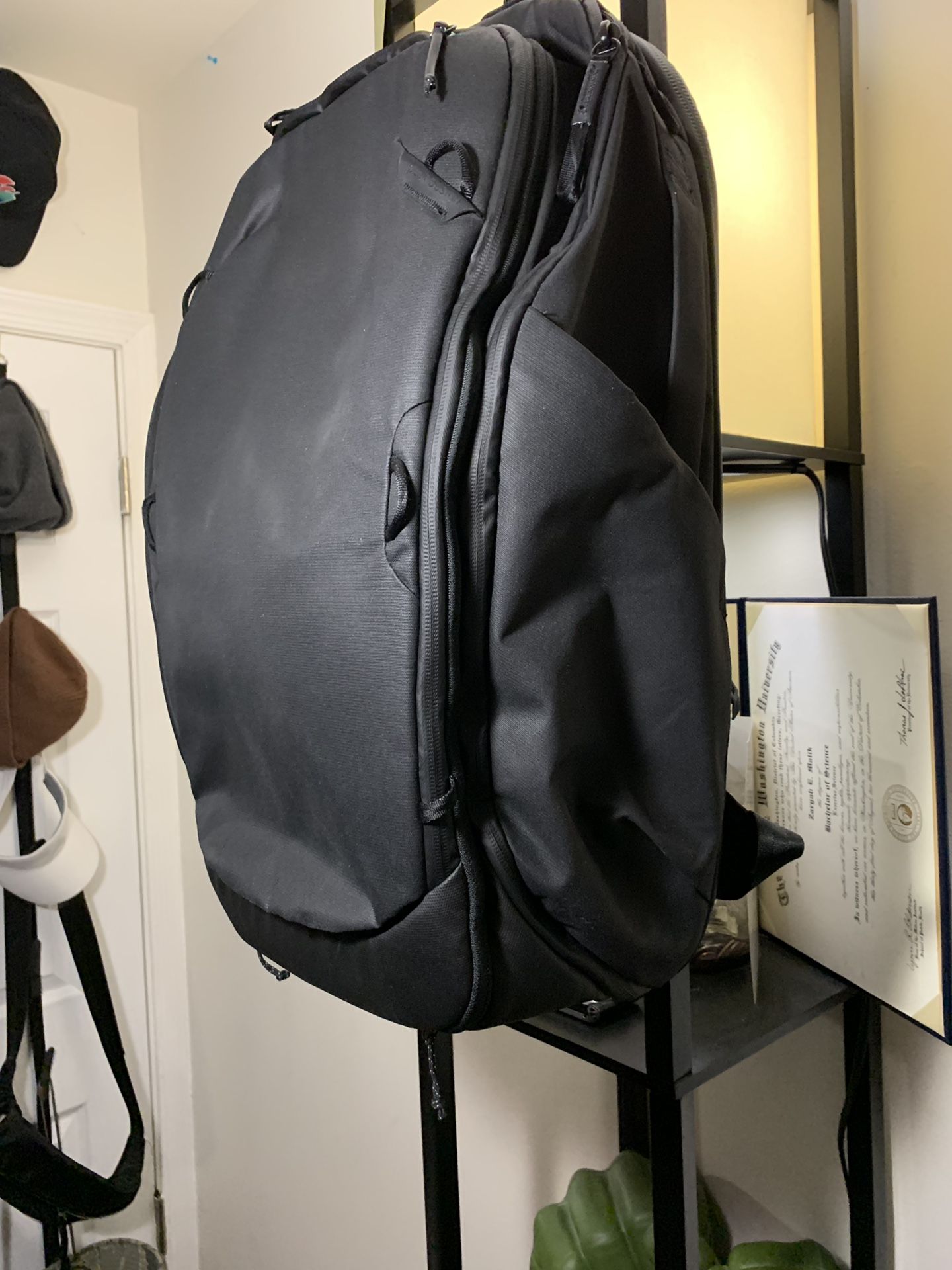 Peak Design Travel bag