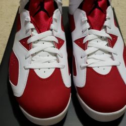 Air Jordan 6 Carmine Sz11