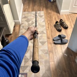 Shimano Teramar Fishing Rod