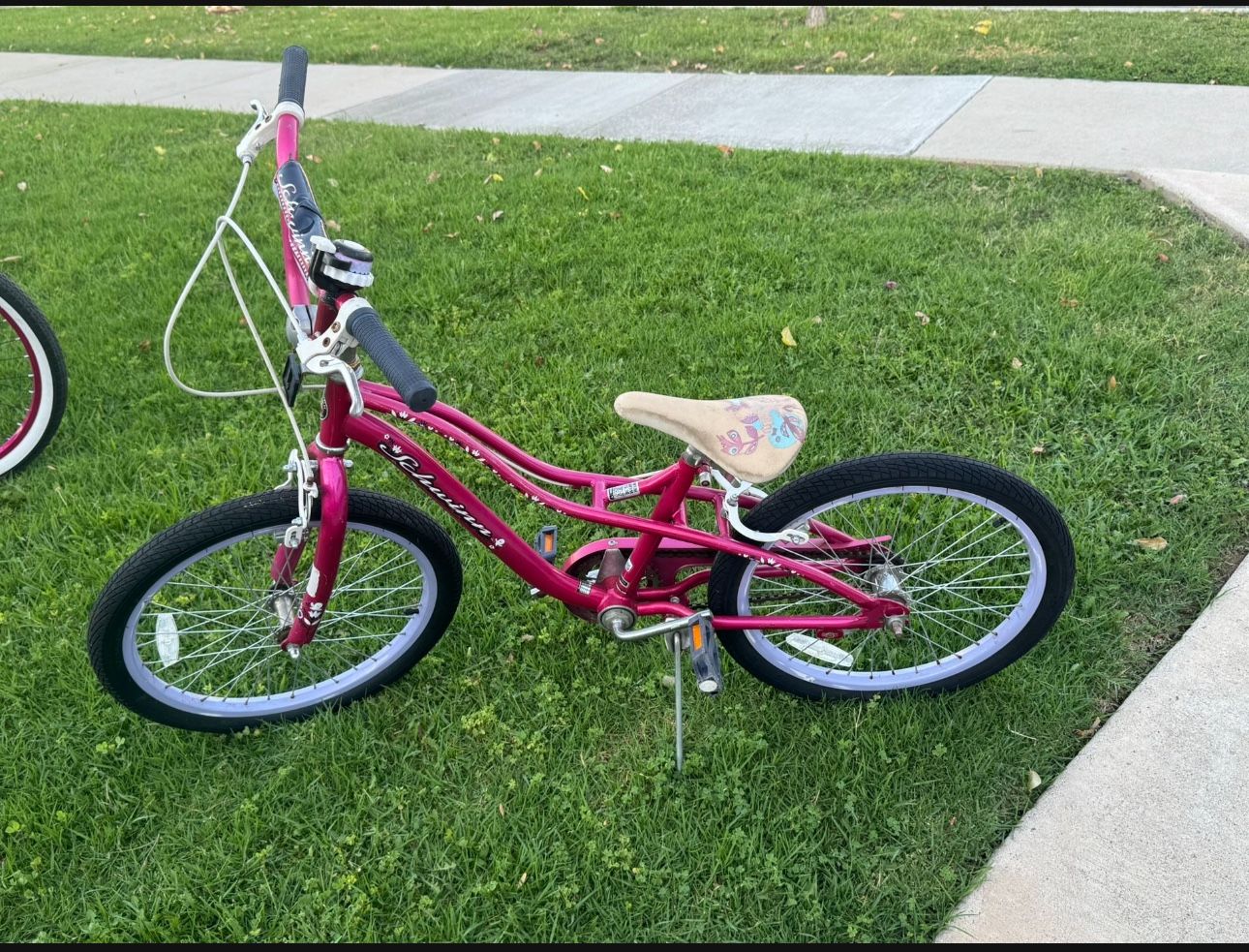 20” Schwinn Girl Bike