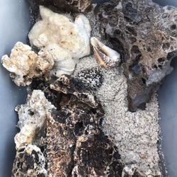 Crushed Coral And Decorative Rock For Aquarium 