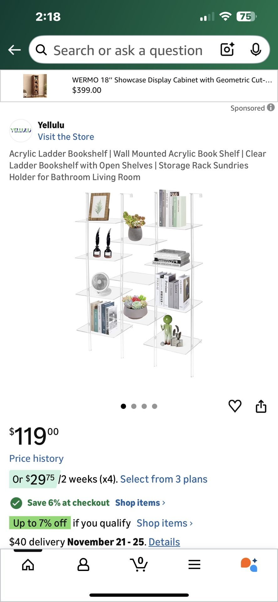 Clear Ladder Bookshelf