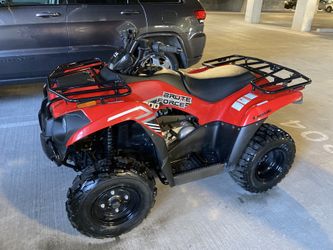 Kawasaki 300 Brute Force