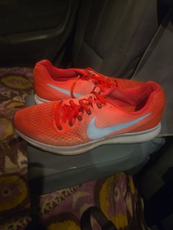 NIKE ZOOM PEAGASUS 34