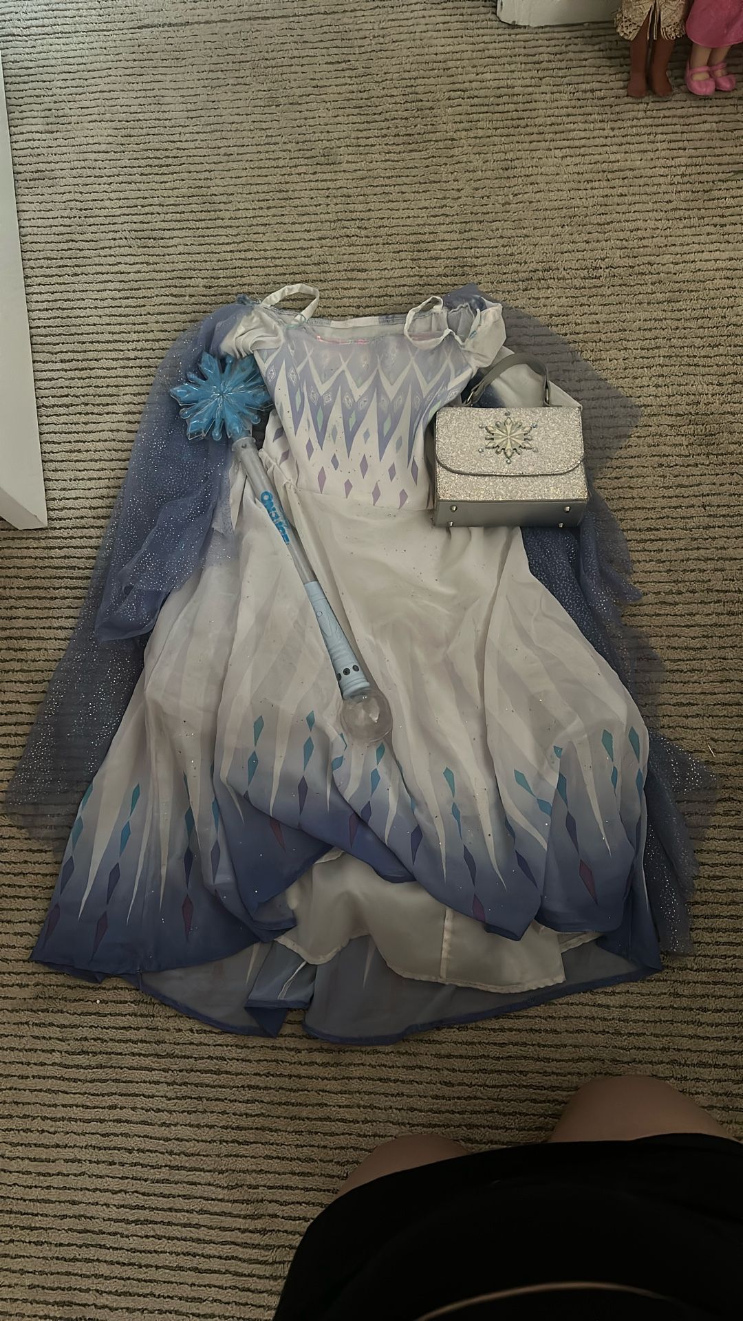 Girls Small Frozen Dress And Accessories