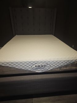 Palmetto Home Queen Bed set 