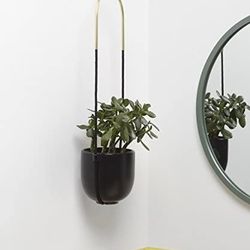 /Umbra Bolo Hanging Planter