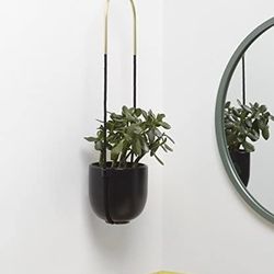 /Umbra Bolo Hanging Planter

