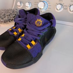 LeBron Nike Shoes
