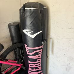 Everlast Heavy Duty Punching Bag