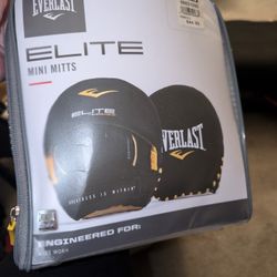 Everlast Mini Mitts For Boxing